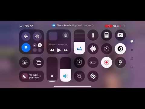 Видео: 5 ноября 2025 г.