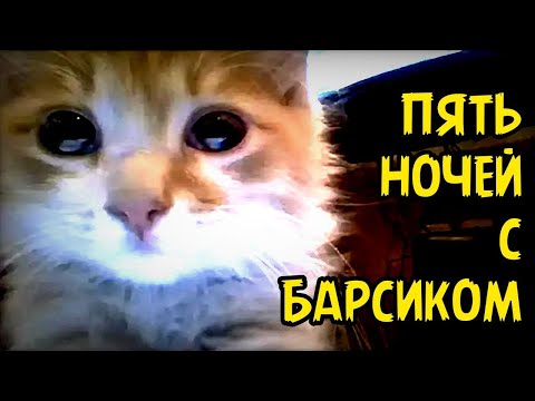 Видео: Шедевральная старая версия Пять Ночей с Барсиком