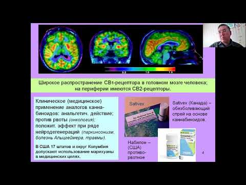 Видео: Дубынин МФК весна 2021 Химия мозга 11 анандамид