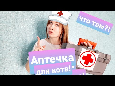 Видео: Что должно быть в аптечке для кота? Жизнь с мейн-кунами