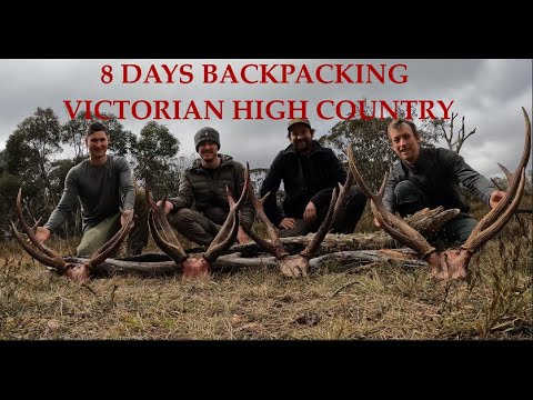 Видео: 8-дневный рюкзак для охоты на самбара 2024