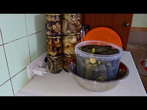 Видео: Получились или нет? 