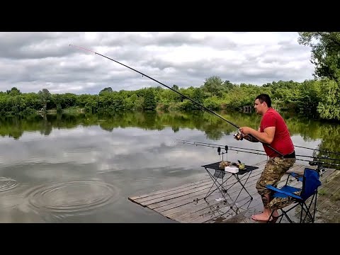 Видео: РЫБАЛКА С НОЧЕВКОЙ. Раздача толстолоба и карпа!