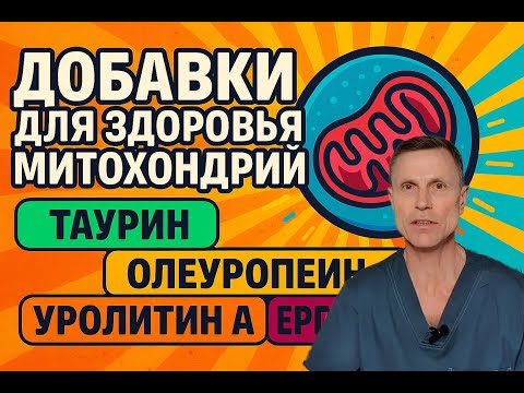Видео: Главный фактор здоровья - состояние ваших митохондрий. Самые эффективные добавки.