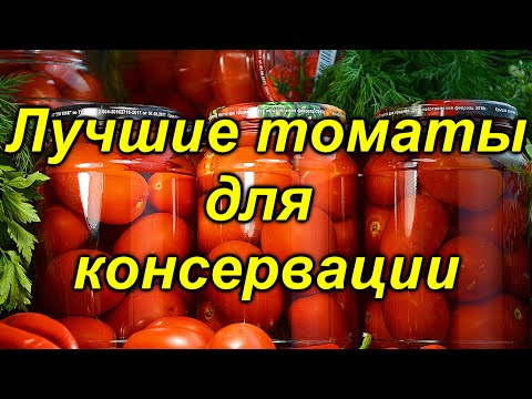 Видео: 5 лучших сортов томатов для "баночки" на консервацию!