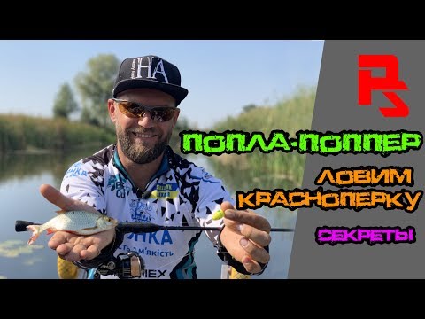 Видео: ПОПЛА-ПОППЕР. Как ловить красноперку на спиннинг. Советы начинающим.