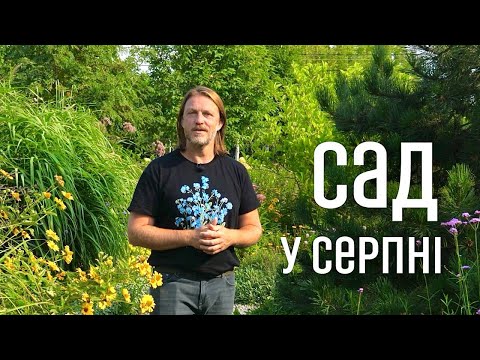 Видео: ЛАНДШАФТНИЙ ДИЗАЙН | САД У СЕРПНІ