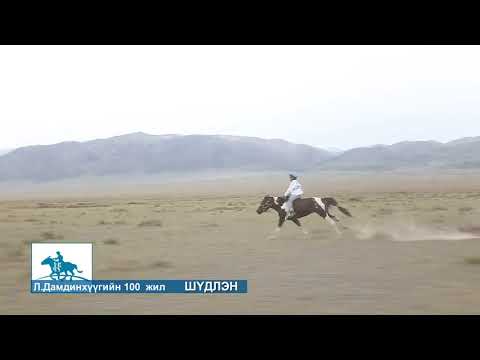 Видео: Дамдинхүүгийн 100 жилийн ой, Ховд аймаг Дарви Сум 3-р хэсэг