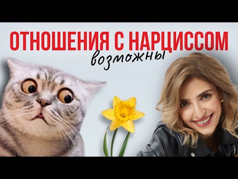 Видео: Не спорьте с НАРЦИССАМИ! Делайте так...