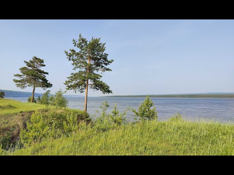 Видео: На деревне туман...