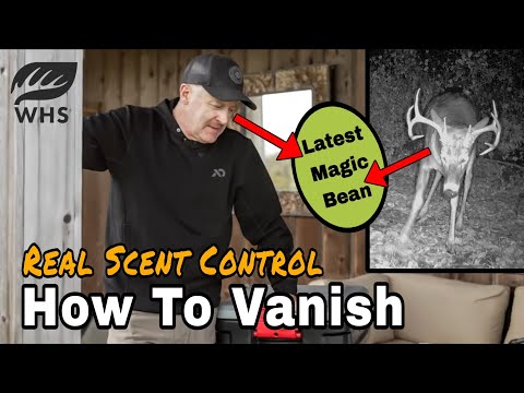 Видео: Критический контроль запаха для оленей | Оставайтесь невидимыми?