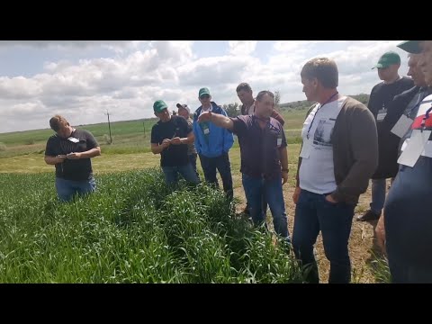 Видео: No-till Тур 2021. Синельниковский р-н. В Хозяйстве Андрея Усова!