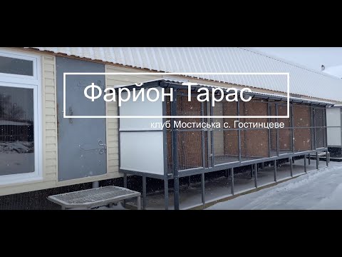 Видео: Фарйон Тарас -3 частина