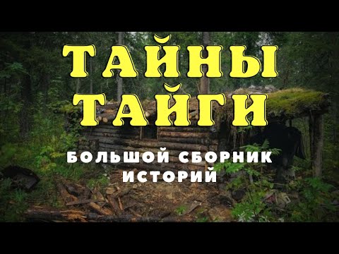 Видео: Необъяснимое в тайге/ Истории таёжных охотников/Охотничьи байки/Страшные истории