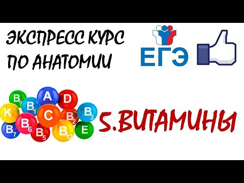 Видео: ВИТАМИНЫ | Теория для ЕГЭ