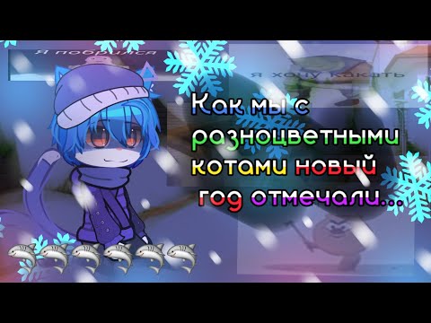 Видео: ☃️❄️как мы новый год с разноцветными котами отмечали...