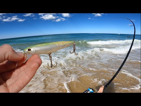 Видео: Рыбалка на поверхности с пляжа!!