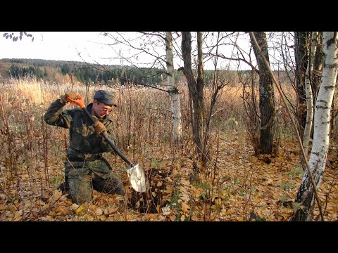 Видео: За черметом на старое место #304