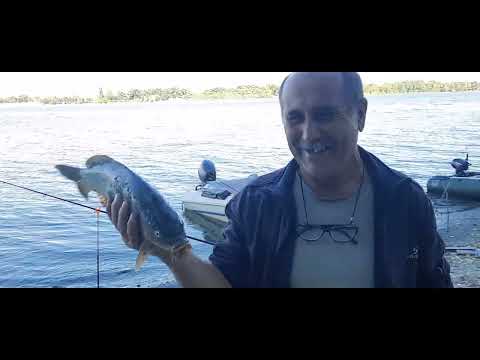 Видео: Рыбалка на Дону, Калач на дону.