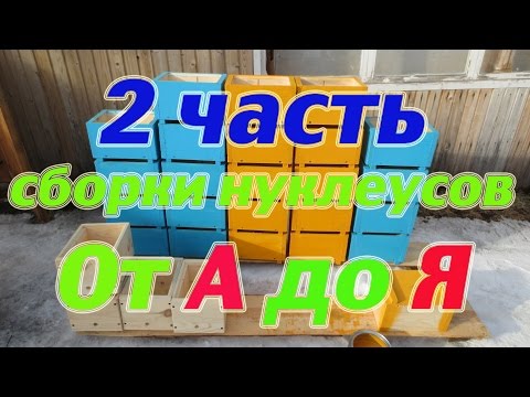 Видео: 2 часть Изготовление нуклеусов на три рамочки от А до Я. Part 2 Manufacturing of cores for bees.