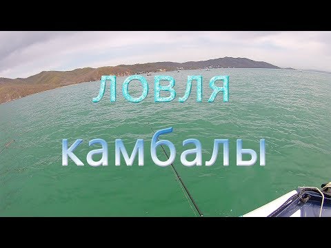 Видео: Ловля камбалы тавайза  большой камень приморский край 2019