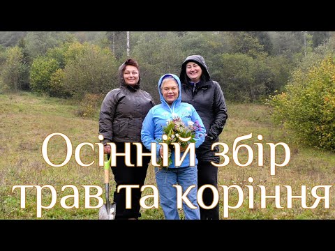 Видео: Осінній збір трав та коріння