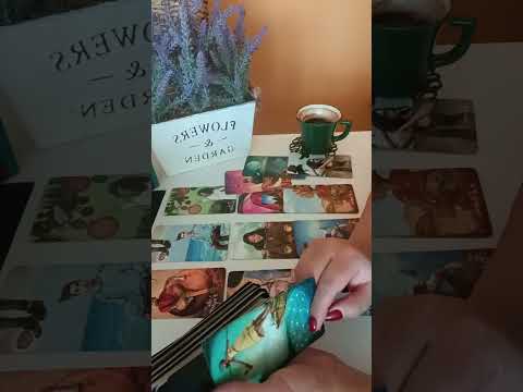 Видео: Какво трябва да знаеш за него