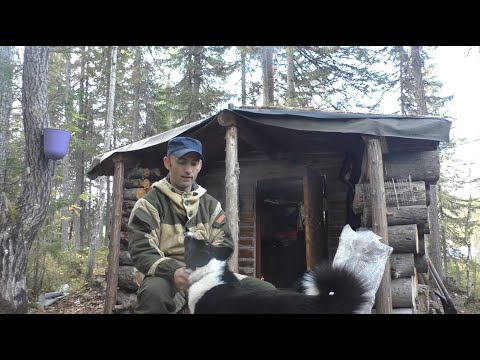 Видео: В ИЗБУ на ОТКРЫТИЕ ОХОТЫ 2024.Тайга нашла куницу