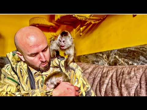 Видео: Анфиса в кой то веки ХОТЕЛА ЛАСКИ от Дениса, а Финик ВЗЯЛ И ПРОГНАЛ ЕЕ!