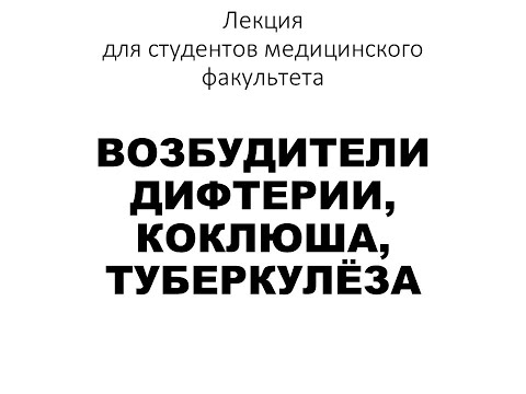 Видео: Возбудители дифтерии, коклюша, туберкулёза