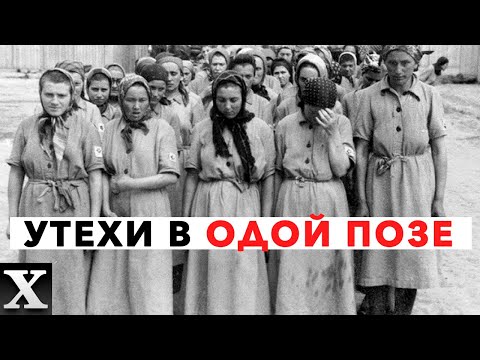 Видео: ЛАГЕРНЫЕ ДОМА УДОВОЛЬСТВИЙ: что там творили с женщинами