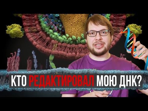 Видео: Кто редактирует нашу ДНК? Александр Панчин на QWERTY