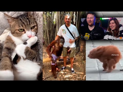 Видео: РЕАКЦИЯ на Тик Ток и Ютуб Шортс #6