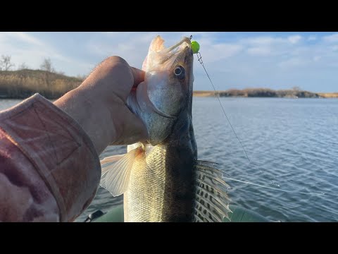 Видео: Вот это поклевка ! Новый рекорд по СУДАКУ ! Селетинское водохранилище !