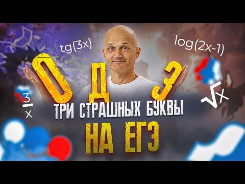 Видео: ОДЗ - лучшее решение на ЕГЭ 2024. Профильная математика