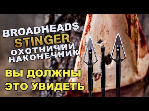 Видео: Broadheads Stinger Наконечник для охоты