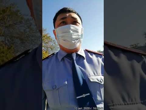 Видео: Грош нам цена