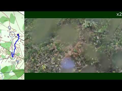 Видео: Headcam Orienteering #199 «ЧиП г.Калининграда 4 этап» г. Светлый 13 октября 2024 г.