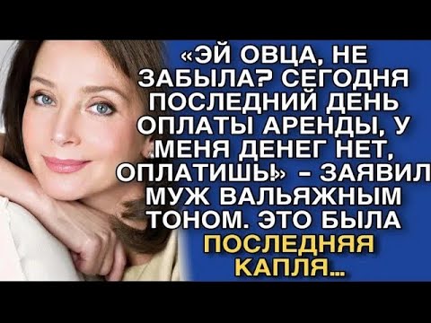 Видео: «ЭЙ ОВЦА, НЕ ЗАБЫЛА  СЕГОДНЯ ПОСЛЕДНИЙ ДЕНЬ ОПЛАТЫ АРЕНДЫ, У МЕНЯ ДЕНЕГ НЕТ, ОПЛАТИШЬ!»   ЗАЯВИЛ