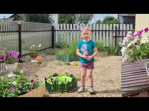 Видео: Пол дня прокатились,купили тротуарную плитку, корм для цып. МАКАР в деревне не загнать в дом