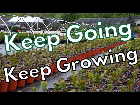 Видео: Расширение бизнеса в сфере питомниководства — новости со второй недели