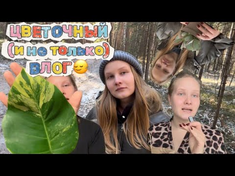 Видео: ЦВЕТОЧНЫЙ(и не только) ВЛОГ из Екатеринбурга 💗 70% про цветы и 30% о жизни. атмосфера🍂