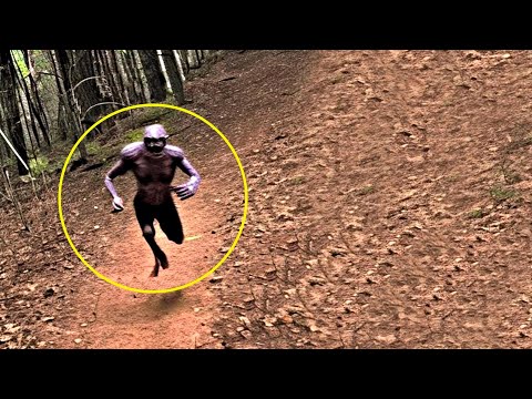 Видео: Как ТАКОЕ Возможно? Топ 15 Самых Жутких Вещей, Снятых На Охотничью Камеру