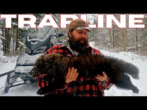 Видео: Мечта сбылась Trapline: Эпизод 44