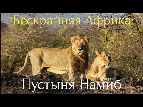 Видео: Бескрайняя Африка.Пустыня Намиб.