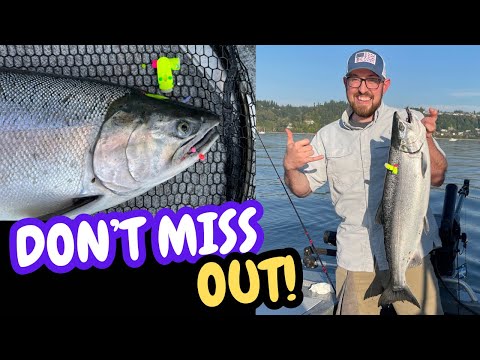 Видео: 3 приманки для кижуча, которые вы пожалеете, что не попробовали раньше (B-Run Secret Sauce)