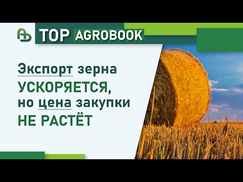 Видео: Экспорт зерна ускоряется, но цена закупки не растёт | TOP Agrobook: обзор аграрных новостей