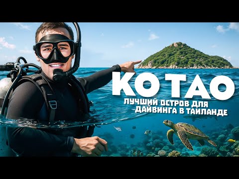 Видео: Ко Тао – лучший остров для дайвинга и снорклинга в Таиланде?