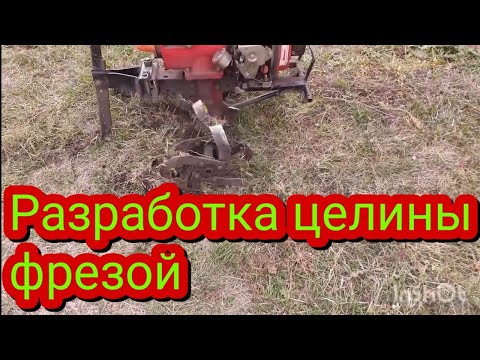 Видео: Как разработать целину фрезой, усыпанную отходами стройматериалов, при этом не сломать мотоблок.