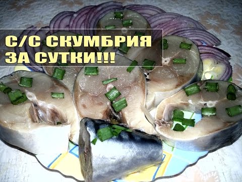 Видео: Скумбрия слабосолёная за сутки!
